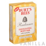 Burt's Bees Radiance Exfoliating Body Bar