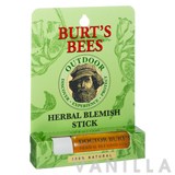 Burt's Bees Herbal Blemish Stick