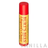 Burt's Bees Lifeguard's Choice Lip Balm