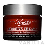 Kiehl's  Abyssine Cream +
