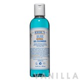 Kiehl's  Blue Herbal Gel Cleanser