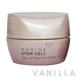 The Face Shop Marine Stem Cell Cell Lifting Eye Cream