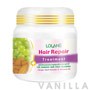 Lolane Hair Repair Treatment for Damaged Hair from Colouring