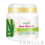 Lolane Hair Repair Treatment for Damaged Hair from Straghtening