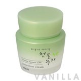 Welcos Spring Leaves of Green Tea Protection Cream