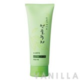 Welcos Spring Leaves of Green Tea Foam Cleanser