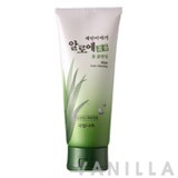 Welcos Cleansing Story Aloe Foam Cleanser