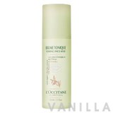 L'occitane Olive Tree Organic Toning Face Mist