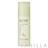 L'occitane Olive Tree Organic Toning Face Mist