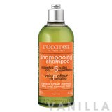 L'occitane Volumising Shampoo for Fine & Normal Hair