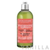 L'occitane Repairing Shampoo for Dry & Damaged Hair