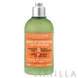 L'occitane Volumising Conditioner for Fine & Normal Hair