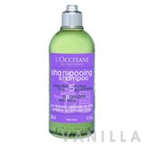 L'occitane Soothing Shampoo for Sensitive or Irritated Scalp 