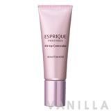 Esprique Precious Fit Up Concealer