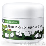 JC New Zealand Lanolin & Collagen Creme