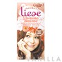 Liese Bubble Hair Color