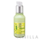 L'occitane Angelica Milky Lotion