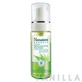 Himalaya Herbals Purifying Neem Foaming Face Wash