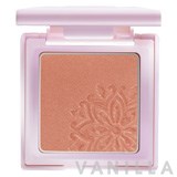 BSC Diva Absolute Blusher