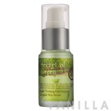 Earths Apple Nothing Can Compare Essential Skin Serum
