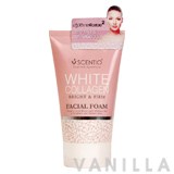 Scentio White Collagen Bright & Firm Facial Foam