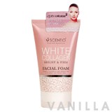 Scentio White Collagen Bright & Firm Facial Foam