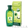 Falless Hair Reviving Shampoo (Dry)