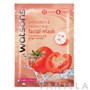 Watsons Antioxidant & Moisturising Facial Mask
