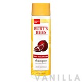 Burt's Bees Very Volumizing Pomegranate Shampoo