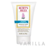 Burt's Bees Intense Hydration Treatment Mask