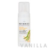 Boots Botanics Shine Away Mattifying Cleansing Mousse