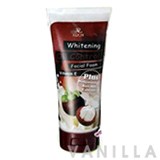 Aron Whitening and Oil Control Foam Plus Mangosteen & Rice Milk