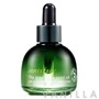 Innisfree The Green Tea Seed Oil