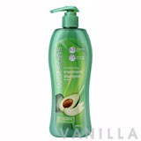 Watsons Conditioning Treatment Shampoo Avocado 