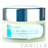 Dermist Super All In One Cream