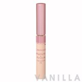 Canmake Highlight & Retouch Concealer UV