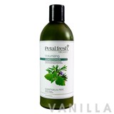 Petal Fresh Volumizing Conditioner Rosemary & Mint