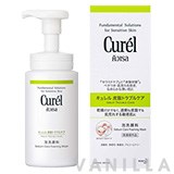 Curel Sebum Trouble Care Sebum Care Foaming Wash