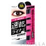 Wink Up Maxigrade Eyeliner EX Liquid Black