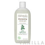 Centifolia Oily Hair Shampoo