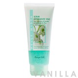 Bottega Verde Cleansing Scrub