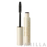 Bottega Verde Extra Black Volume Mascara 