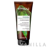 Botanicals Fresh Care Coriander Strength Source Conditioning Balm