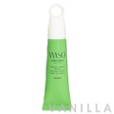 Waso Poreless Matte Primer