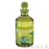 Yves Rocher Moringa Rinsing Vinegar Refresh