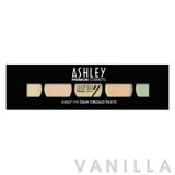 Ashley 5 Cream Concealer Palet