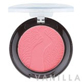 Ashley Powder Blush