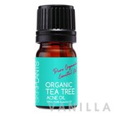 Skinplants Organic Tea Tree Acne Oil