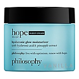 Philosophy Hope In A Jar Hyaluronic Glow Moisturiser Water Cream