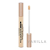Sephora Best Skin Ever Glow Multi-Purpose Concealer